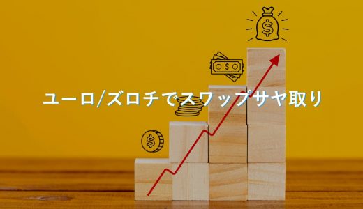 【13ヶ月目】FXズロチ円でスワップサヤ取りの実績をブログで公開！始め方も解説。